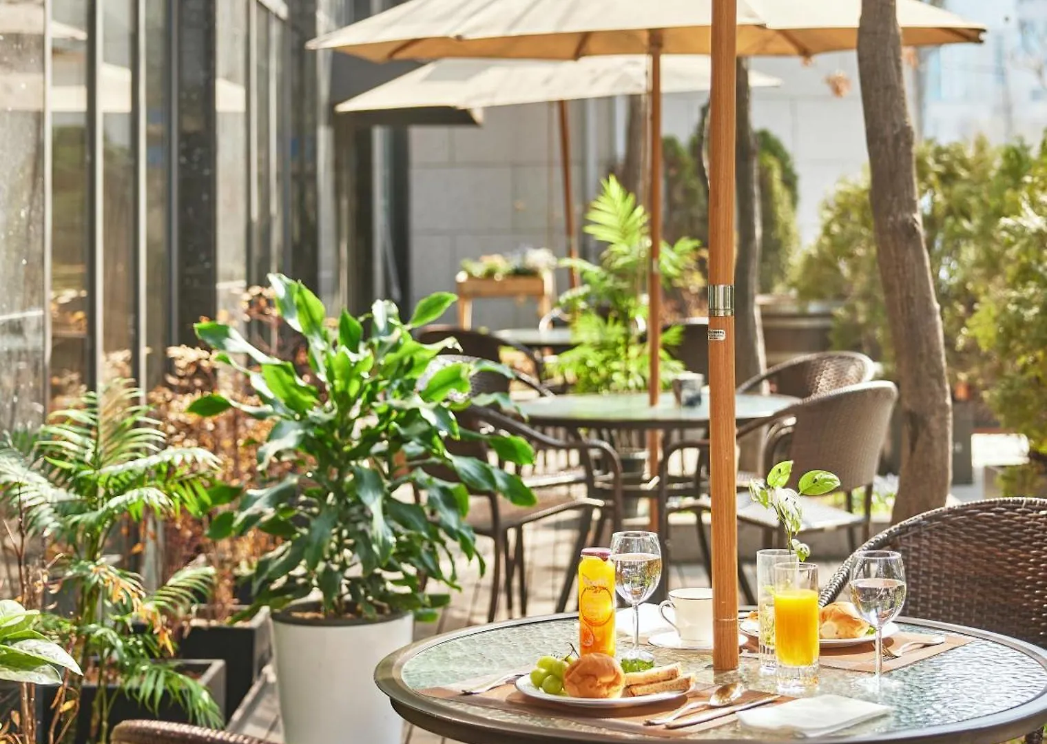 Mayplace Hotel Seoul