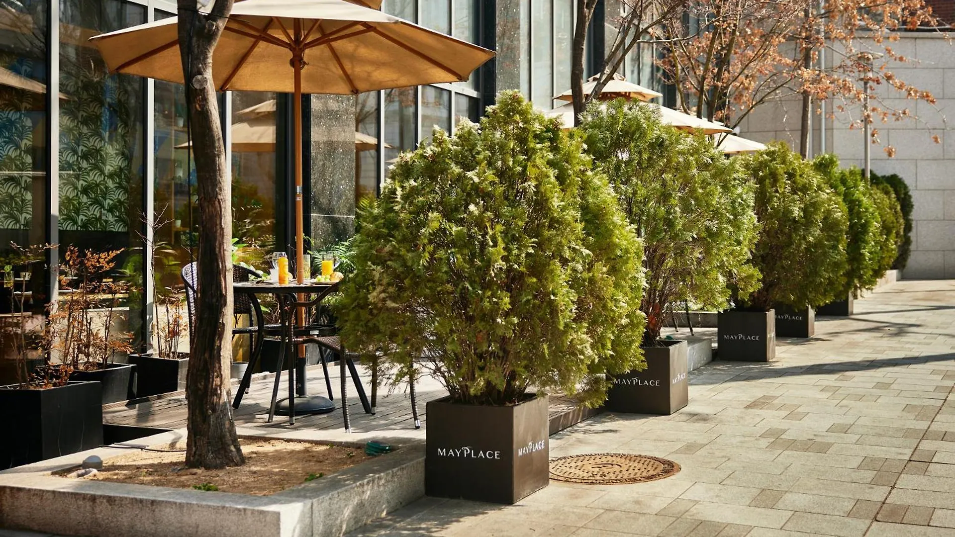 Mayplace Hotel Seoul
